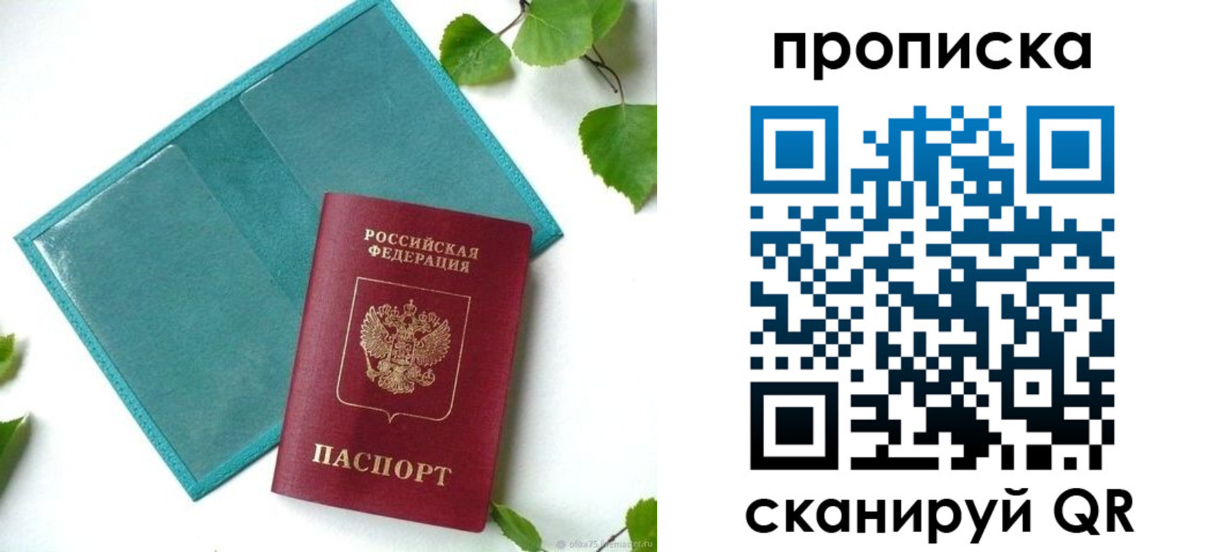 прописка штамп в Стародубе
